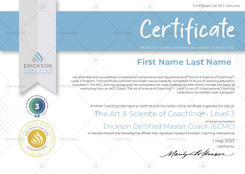 Tasc Level 3 Certificate SAMPLE.png